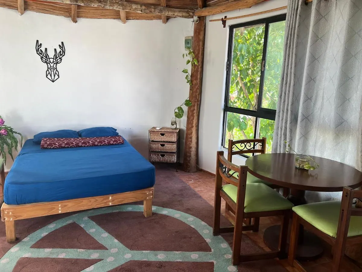 Panzió Villa Blanca Cancún Mexikó